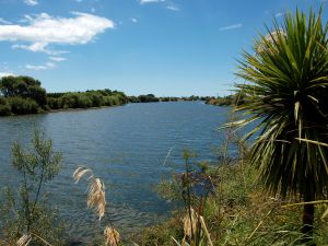 07Jun2015120641EDGECUMBE Rangitaiki_River.jpg